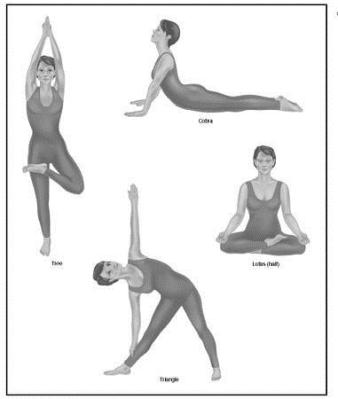 yoga3